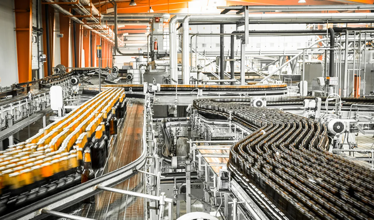 Food Processing